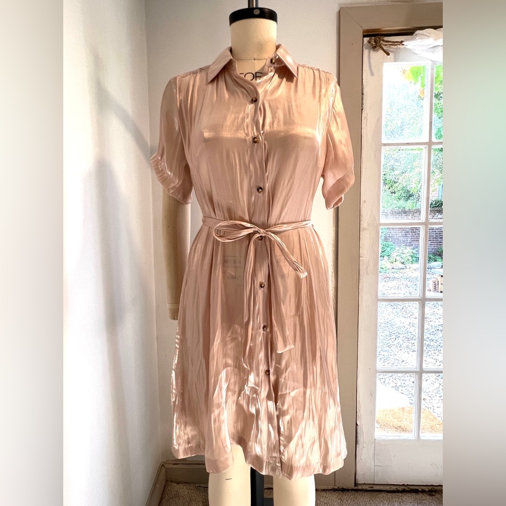 Ciao Lucia Woven Metallic Shirt Dress